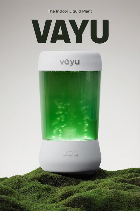 Microalgae Air Purifiers by Algreen