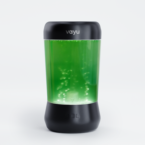 Vayu Microalgae-based Natural Air purifier in black color