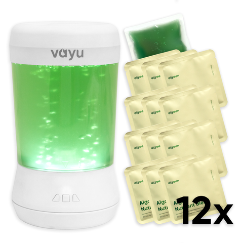 Vayu – The Algae Air Purifier for home • Fresh Oxygen • Removes Pollutants