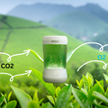How Vayu Turns Clean-Air Science Into a Living Art