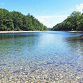 Cleaner Air with Algae: Nature’s Solution to Pollution