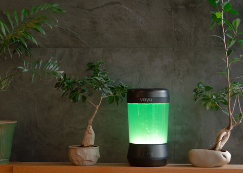 Meet the VAYU: The Living Air Purifier That Removes CO2