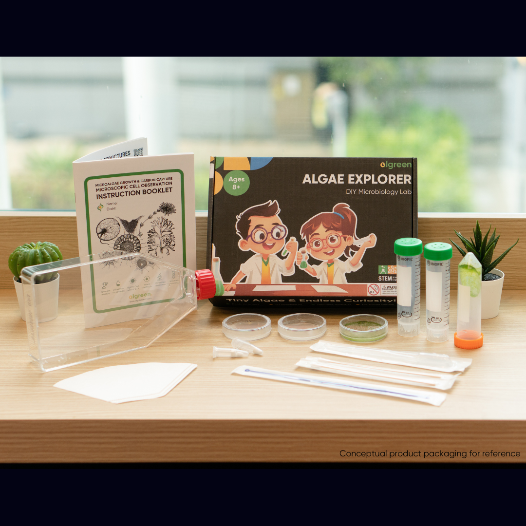 Algreen Educational Stem Kit for science learning