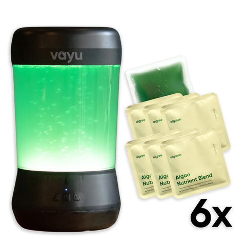 Vayu algae air purifier black colour with green light and algae nutrient blend packets on a white background