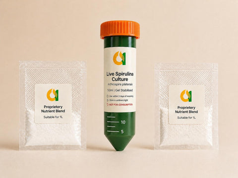 Live Spirulina Culture | Freshly Harvested Algae