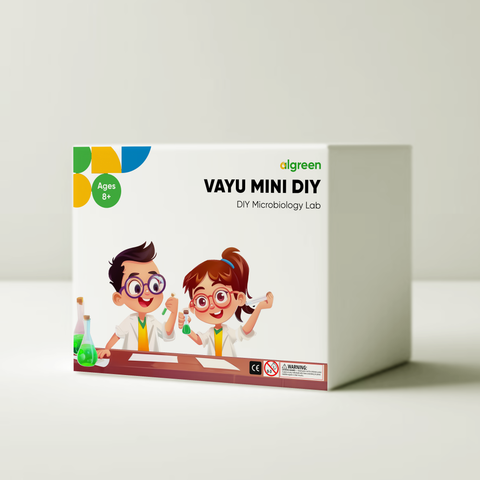Vayu DIY Liquid Plant | Air Purifier Kit for Kids & Families