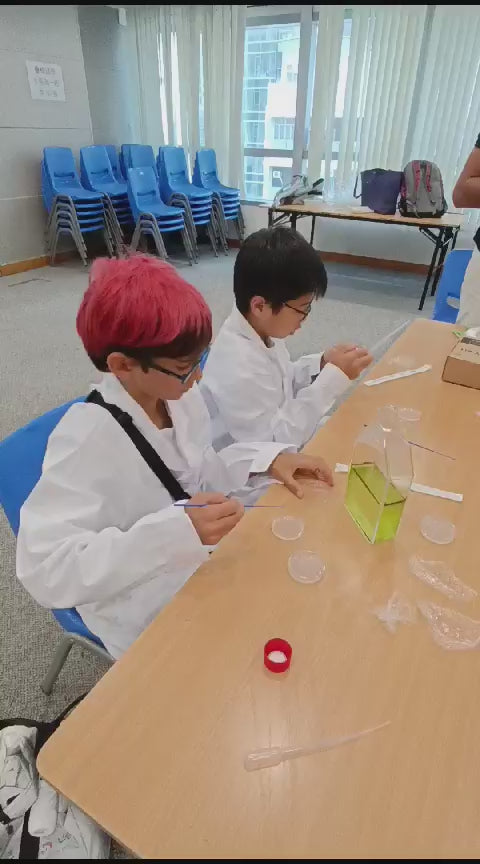 Algreen Educational Stem Kit for science learning kids workshop