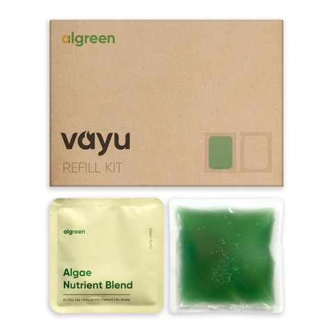 Algae Refill | Single Live Spirulina Culture Packet