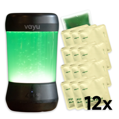 Vayu – The Algae Air Purifier for home • Fresh Oxygen • Removes Pollutants