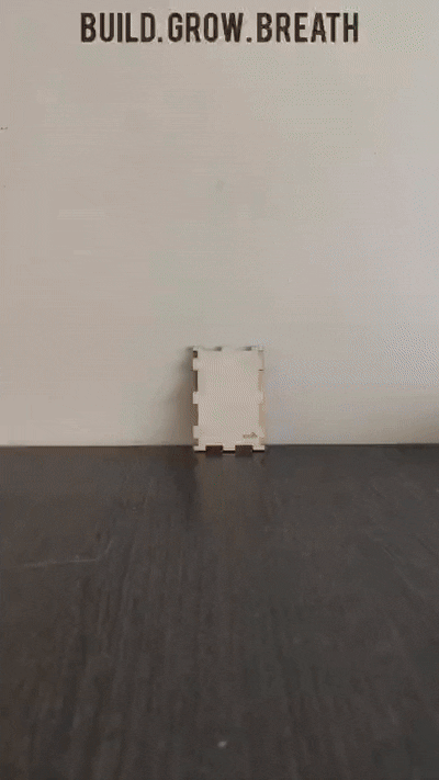 Vayu DIY Liquid Plant | Air Purifier Kit for Kids & Families